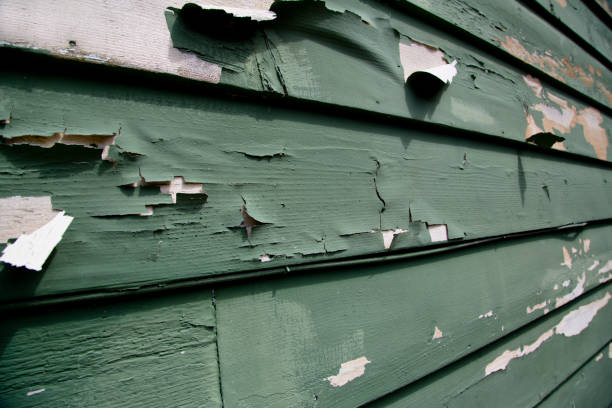 Best Property Management Cleanouts  in Taylor, MI